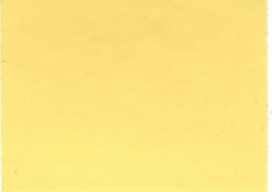 1981 Nissan Desert Yellow